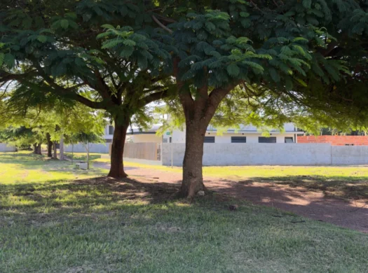 Terreno Premium com Árvores Centenárias